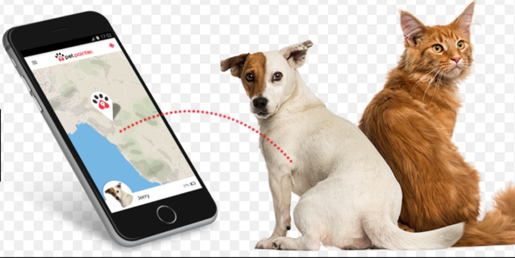 Does GPS for and Cats Really Helps? | GPS Navigation Systems