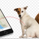 Screen Shot 2018-10-12 at 10.58.05